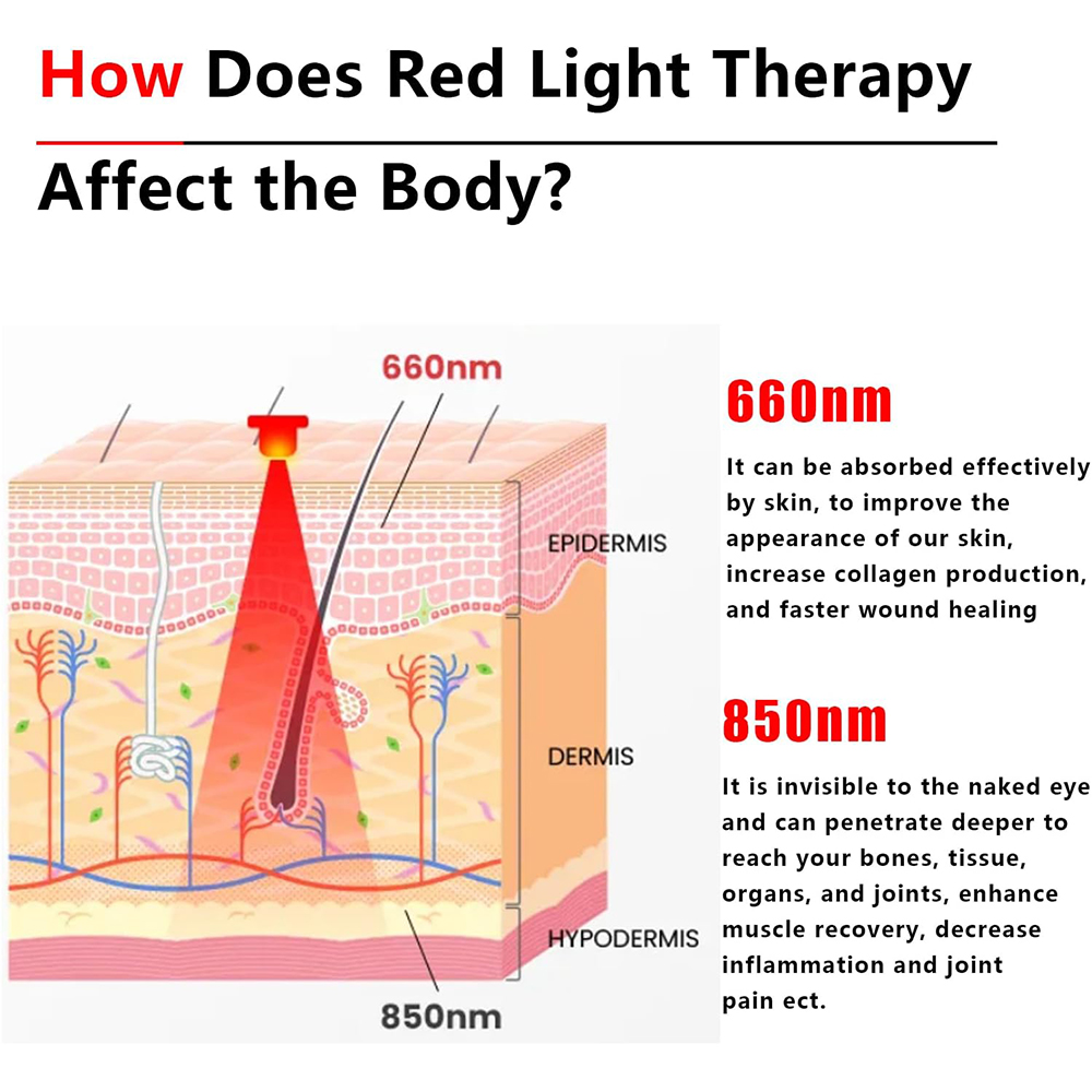 2025 Nuova cintura da 60 LED c - Galvanic Skin Sensor recensione e prezzo